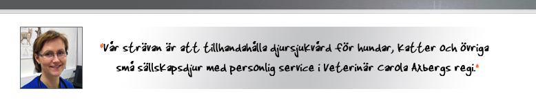 Alfavet Veterin&auml;rmottagning